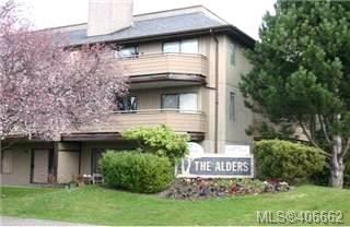 203 - 3225 Alder St - SE Quadra Condo Apartment, 1 Bedroom (406662)