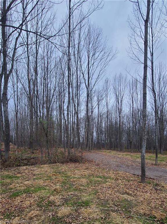 130 Maple Ridge Road - Georgian Bluffs Vacant Land for Sale(X11898810)