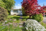 415 Marmont Street - Central Coquitlam Single Family Residence for Sale, 3 Bedrooms (R2999603) #4