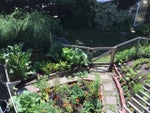 1522 Rochester Avenue - Central Coquitlam Single Family Residence for Sale, 4 Bedrooms (R3026319) #4
