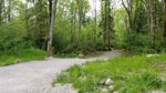 4231 Dundas Street - Vancouver Heights Single Family Residence for Sale, 5 Bedrooms (R3026759) #4