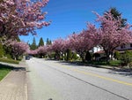 2443 Leclair Drive - Coquitlam East Single Family Residence for Sale, 6 Bedrooms (R3030001) #39