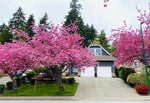 2443 Leclair Drive - Coquitlam East Single Family Residence for Sale, 6 Bedrooms (R3030001) #5
