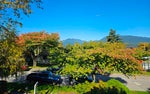 4362 Cambridge Street - Vancouver Heights Single Family Residence for Sale, 5 Bedrooms (R3039416)# - 2