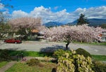 4362 Cambridge Street - Vancouver Heights Single Family Residence for Sale, 5 Bedrooms (R3039416)# - 40