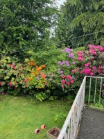 3746 Edinburgh Street - Vancouver Heights single-family-residence for Sale, 3 Bedrooms (R3046732)# - 28