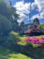 3746 Edinburgh Street - Vancouver Heights single-family-residence for Sale, 3 Bedrooms (R3046732)# - 29