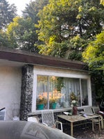 1320 Austin Avenue - Central Coquitlam Single Family Residence for Sale, 4 Bedrooms (R3050648)# - 3