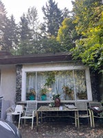 1320 Austin Avenue - Central Coquitlam Single Family Residence for Sale, 4 Bedrooms (R3050648) #4