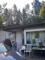 1320 Austin Avenue - Central Coquitlam Single Family Residence for Sale, 4 Bedrooms (R3050648) #5