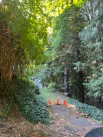 1320 Austin Avenue - Central Coquitlam Single Family Residence for Sale, 4 Bedrooms (R3050648)# - 8