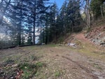 3099 Lougheed Highway - Mt Woodside Land(R3096561)# - 14