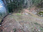 3099 Lougheed Highway - Mt Woodside Land(R3096561)# - 21