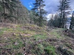 3099 Lougheed Highway - Mt Woodside Land(R3096561)# - 22