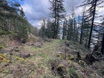 3099 Lougheed Highway - Mt Woodside Land(R3096561)# - 24