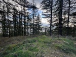 3099 Lougheed Highway - Mt Woodside Land(R3096561)# - 25