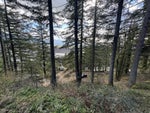 3099 Lougheed Highway - Mt Woodside Land(R3096561)# - 26