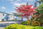 168 - 145 King Edward Street - Maillardville Manufactured Home for Sale, 2 Bedrooms (R3118413)# - 3