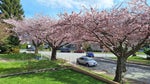 4545 William Street - Brentwood Park Single Family Residence for Sale, 3 Bedrooms (R3129442)# - 2