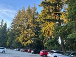 537 Draycott Street - Central Coquitlam Single Family Residence for Sale, 4 Bedrooms (R3139060)# - 25