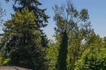 455 Alouette Drive - Coquitlam East Single Family Residence for Sale, 6 Bedrooms (R3140538)# - 34