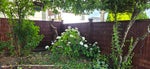 2220 Paulus Crescent - Montecito Single Family Residence for Sale, 5 Bedrooms (R3144439)# - 15