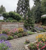 657 Poirier Street - Central Coquitlam Single Family Residence for Sale, 3 Bedrooms (R3156307)# - 5