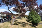 4772 Ridgelawn Drive - Brentwood Park Single Family Residence for Sale, 4 Bedrooms (R3161428)# - 3