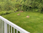 570 Venture Pl - NI Port McNeill Single Family Residence for Sale, 2 Bedrooms (1001961) #24