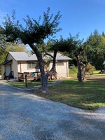 815 B Homewood Rd. - CR Campbell River Central Single Family Residence for Sale, 1 Bedroom  #1