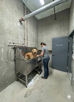 850 Dogwood - 1 & 2 Bedroom Units - CR Campbell River Central Condo Apartment for Sale, 1 Bedroom # - 5