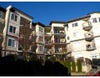 # 301 5765 Glover Rd - Langley City Apartment/Condo for sale, 1 Bedroom (F2729769) #1