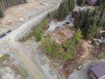 46930 SAKWI CREEK ROAD - Hemlock for sale(R2782053) #9