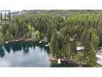 2860 Jewel Lake Road - Jewel Lake House for Sale, 1 Bedroom (10342645) #2