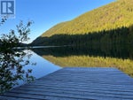 2860 Jewel Lake Road - Jewel Lake House for Sale, 1 Bedroom (10342645) #2
