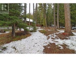 2860 Jewel Lake Road - Jewel Lake House for Sale, 1 Bedroom (10342645) #35