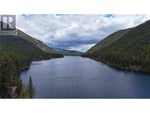 2860 Jewel Lake Road - Jewel Lake House for Sale, 1 Bedroom (10342645) #4