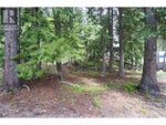 2860 Jewel Lake Road - Jewel Lake House for Sale, 1 Bedroom (10342645) #56
