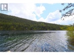 2860 Jewel Lake Road - Jewel Lake House for Sale, 1 Bedroom (10342645) #6