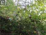 3658 Boat Access West Side Road - Christina Lake House for Sale, 3 Bedrooms (10398732)# - 3