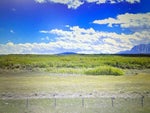 23015A Highway 5   - Other Residential Land for Sale(A2228264) #1