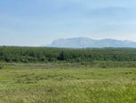 23015A Highway 5   - Other Residential Land for Sale(A2228264)# - 2