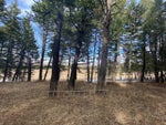 9 Burmis Mountain Road  - Other Residential Land for sale(A2007530) #1