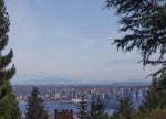 905 Greenwood Road - British Properties Single Family Residence for Sale, 4 Bedrooms (R3027198) #3