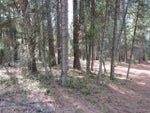 400/380 RIVER DRIVE E - Christina Lake for sale(2473073) #10