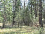 400/380 RIVER DRIVE E - Christina Lake for sale(2473073) #25