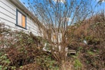 889 & 891 Tillicum Rd - Es Old Esquimalt Single Family Detached for sale, 7 Bedrooms (955069) #12