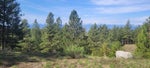 #Lot 4 195 PEREGRINE Court, - Osoyoos No Building for sale(198771) #2