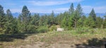 #Lot 4 195 PEREGRINE Court, - Osoyoos No Building for sale(198771) #6