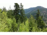 # LS 5 CHAUMOX RD - Fraser Canyon Land for sale(H1401521) #11